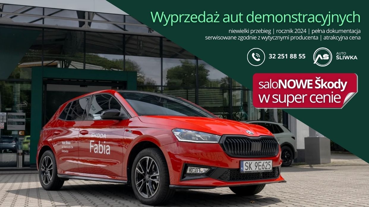 Skoda Fabia Katowice